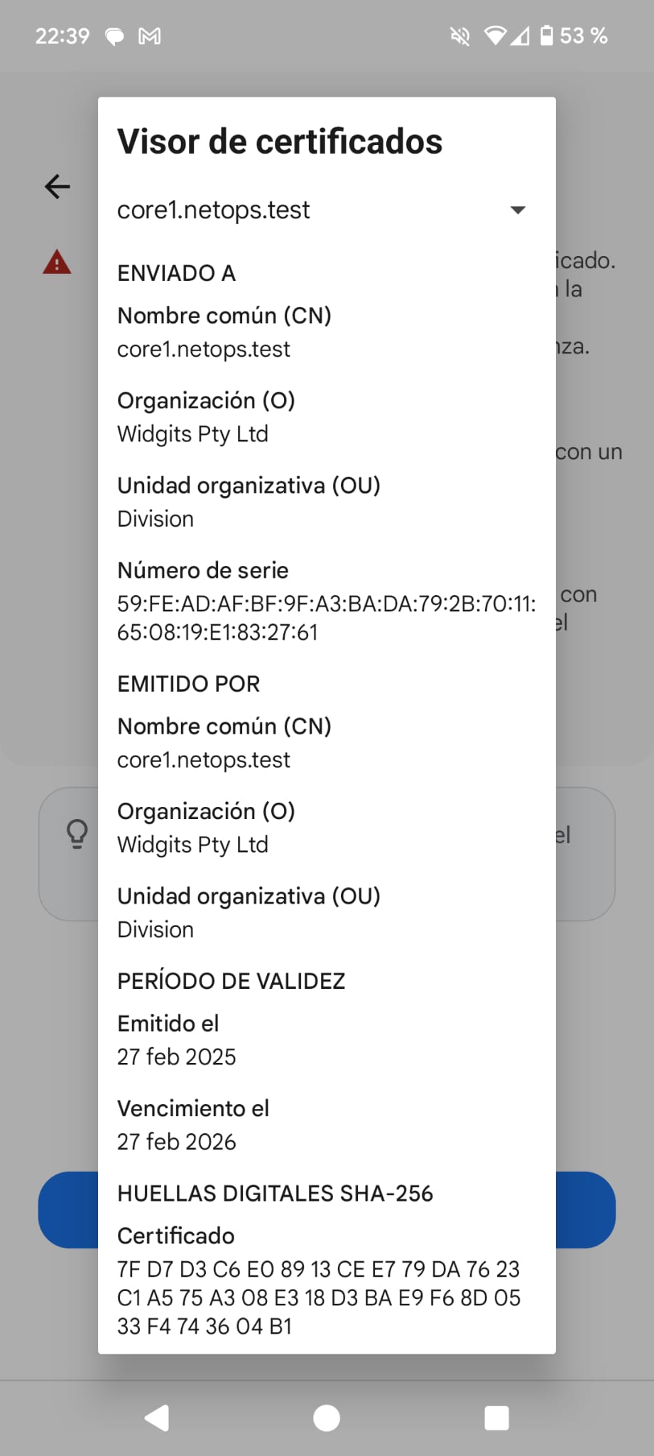 core1.netops.test es usado como certificado por defecto para los bloqueos de La Liga en DigiMobil