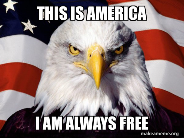 Imagen en la que se ve un águila en primer plano, con el pico mirando a la cámara. De fondo, una bandera estadounidense ondeando. En la parte superior el texto "THIS IS AMERICA", y en la parte inferior "I AM ALWAYS FREE"